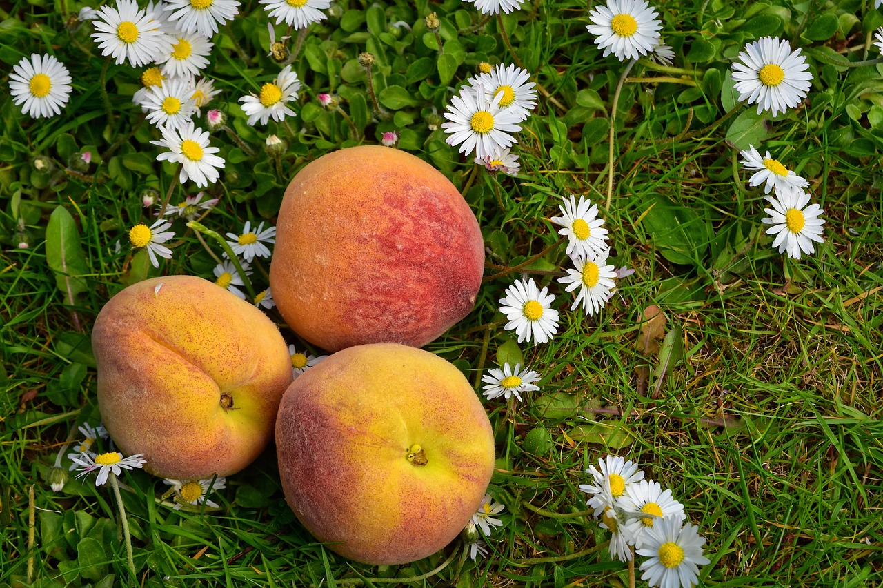 Peaches - free online jigsaw puzzle photo