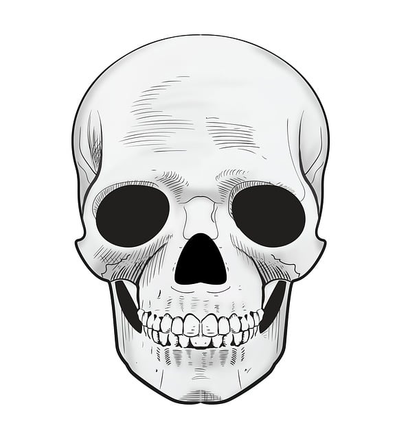 Free scary skull dead illustration