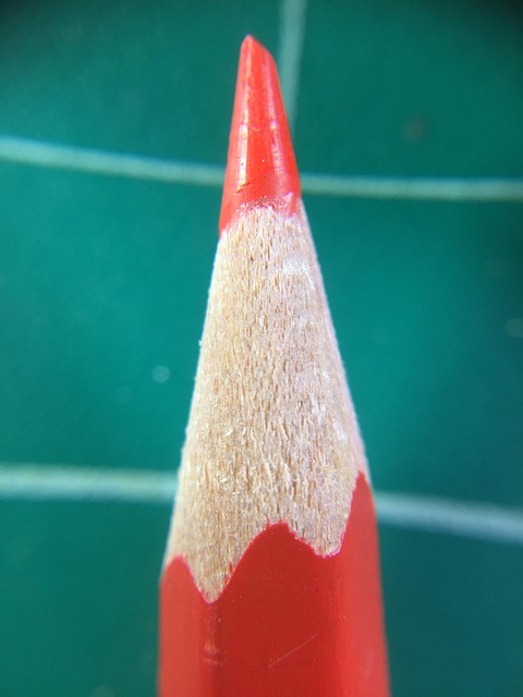 Macro, Lápiz, Lápiz De Color, Escuela