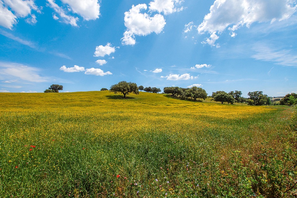 From Rolling Hills to Coastal Cliffs: The Best of Alentejo