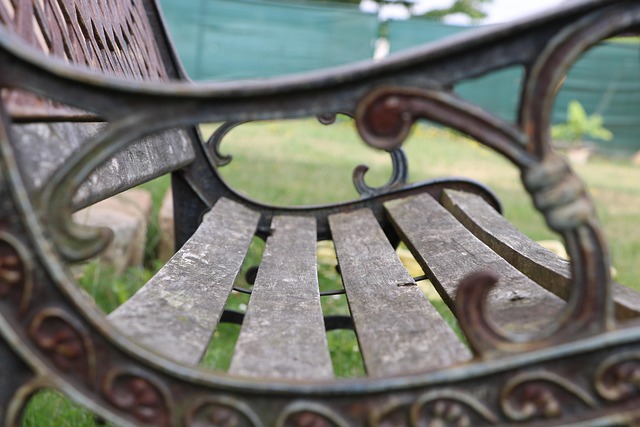 Bank, Trinken, Sitz, Park, Frühling