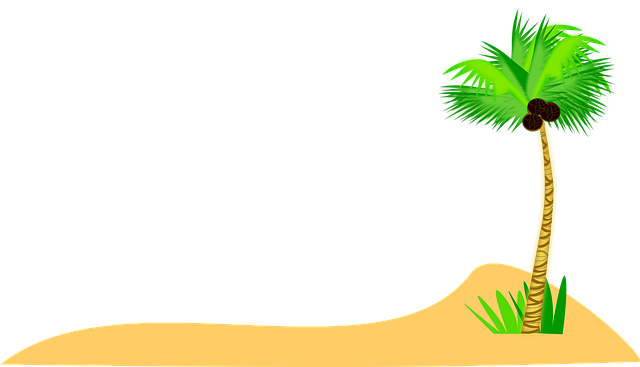 Albero Di Cocco, Noce Di Cocco, Sabbia