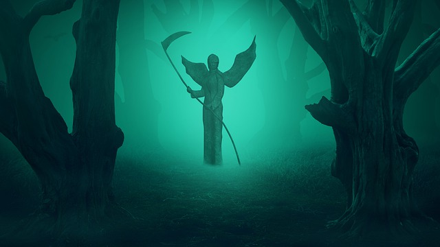 Free green forest fog illustration