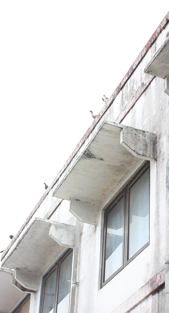 Wit, Gebouw, Architectuur, Stedelijk