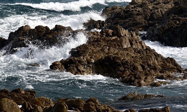 Free Sea Sardinia photo and picture