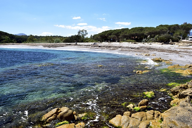 Free Sea Sardinia photo and picture