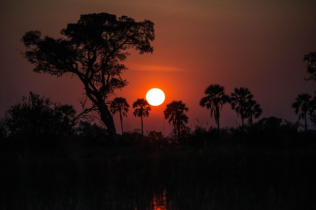 Free Africa Botswana photo and picture
