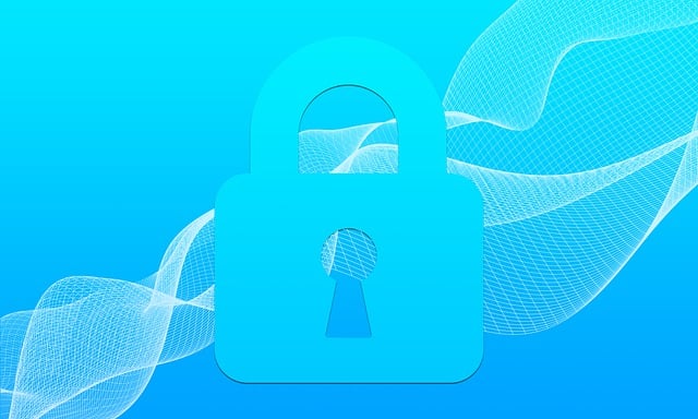 Free security internet cyber illustration