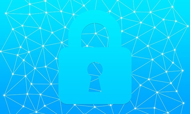 Free security cyber internet illustration
