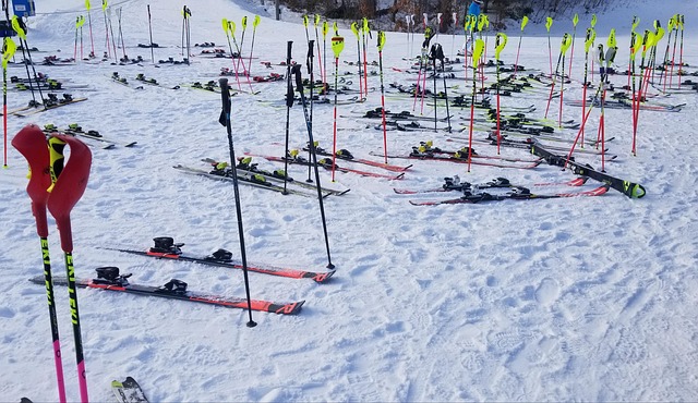 Free Ski Hill photo and picture