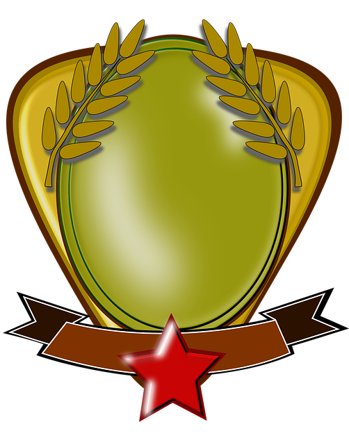 Free medal the medallion the prize vector