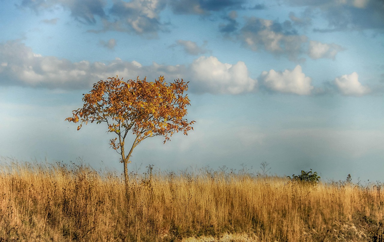 Landscape - free online jigsaw puzzle photo