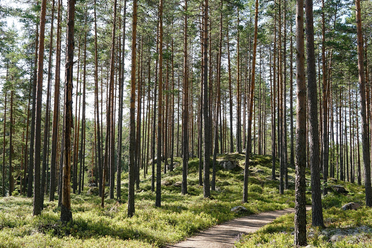 sweden-4393816_1280.jpg