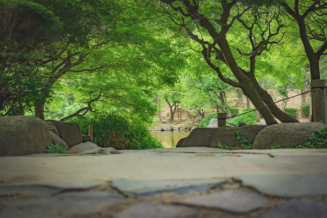 Free Woods Garden photo and picture