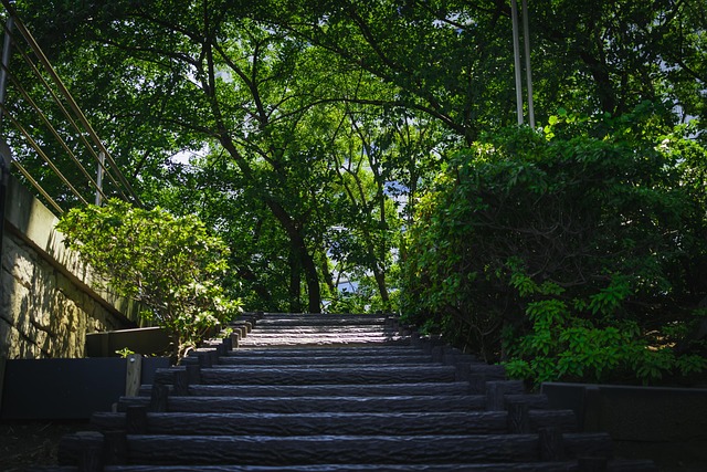 Free Stairs Summer photo and picture