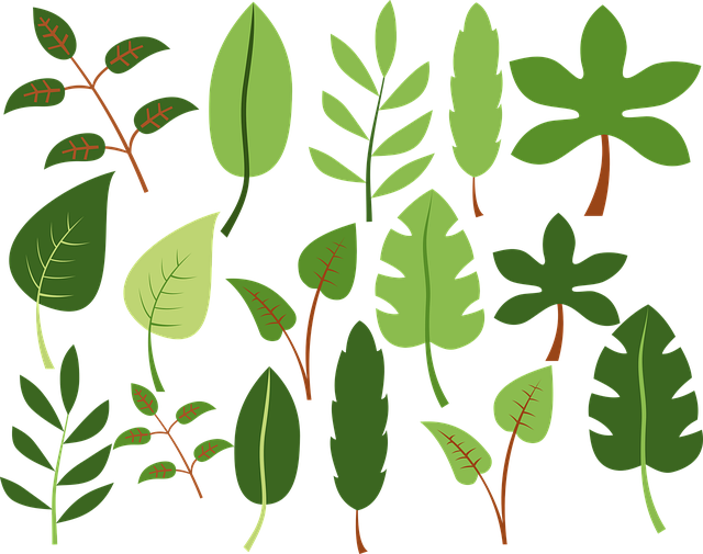 Free a letter nature green vector