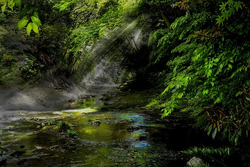 Río, Ray, Reflexión, Natural, Paisaje