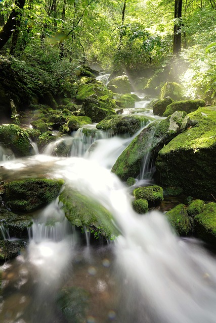 1,000+ Free Brook & Nature Photos - Pixabay