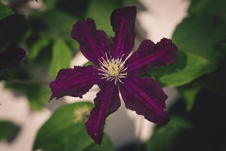 春暖花开xingbayouni