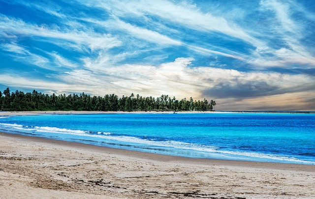 Free Beach Sun photo and picture