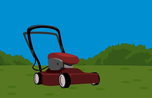 Rasenmäher, Gras, Schneiden
