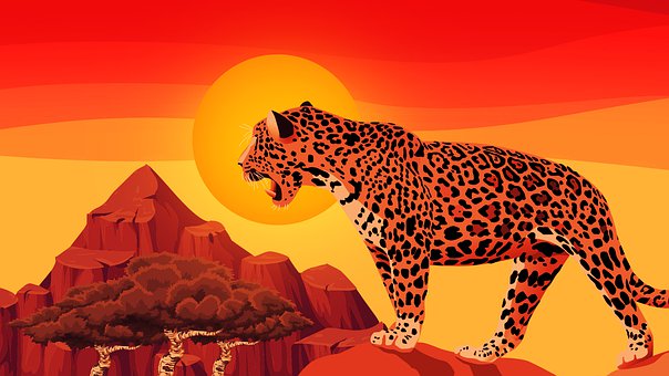 Divoká Zvěř, Jaguár, Dravec, Leopard