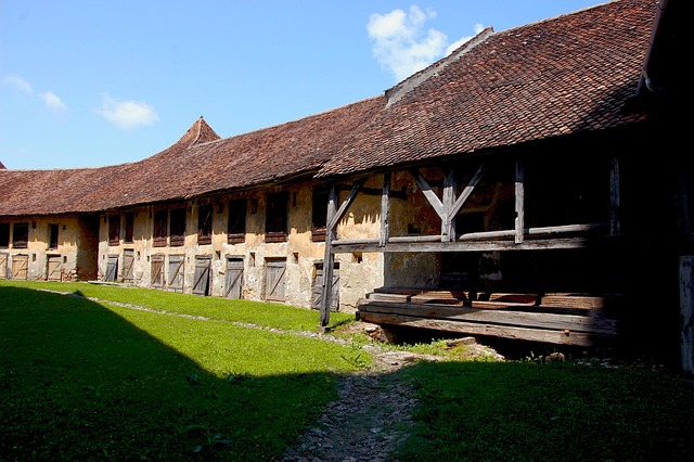 Free Patio Romania photo and picture