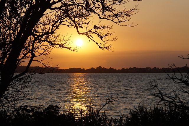 Sonne, Baum, Natur, Sonnenuntergang