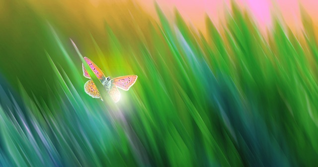 Free fantasy illusion lie illustration