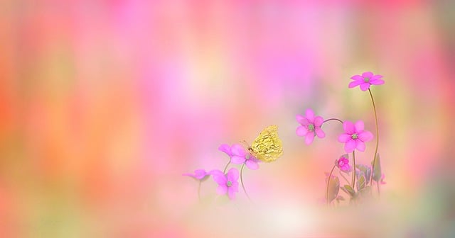 Free fantasy illusion lie illustration