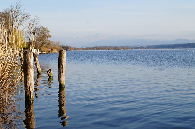 See, Schilf, Alpen, Wasser, Holz