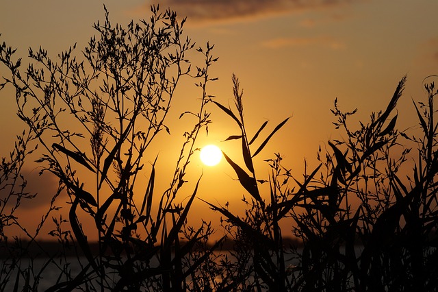 Sonne, Sonnenuntergang, Himmel, Stimmung
