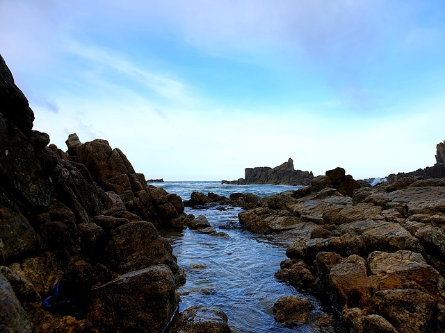 Free Ocean Coast photo and picture