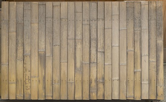 Free Texture Bamboo photo and picture