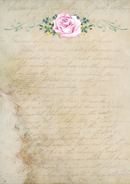 Fransk, Årgang, Rose, Brev, Papir