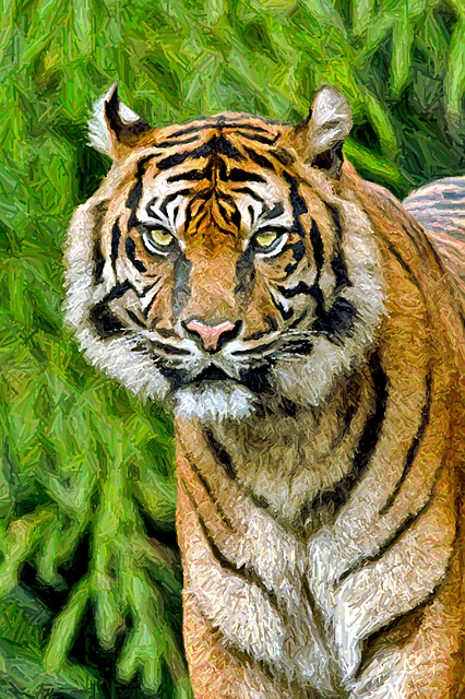 Free animals felines tiger illustration