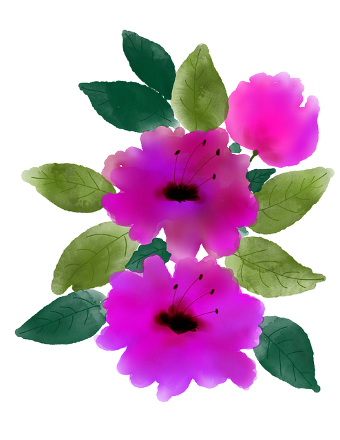 Free watercolour flowers watercolor flower watercolor illustration