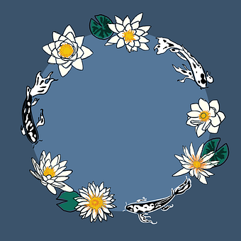 Koi, Karpe, Fisk, Blomst, Vand Blomster