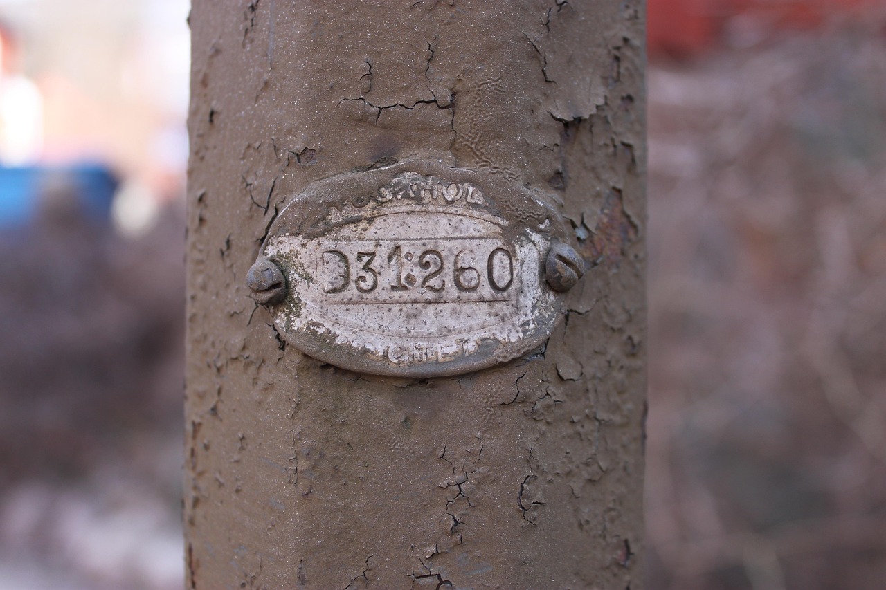 Sign - free online jigsaw puzzle photo