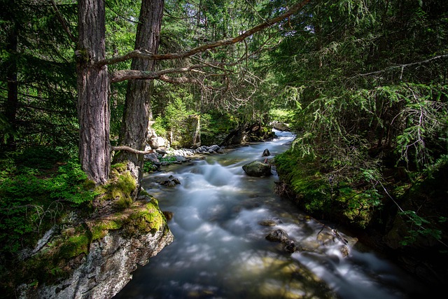 Free Bach Water photo and picture