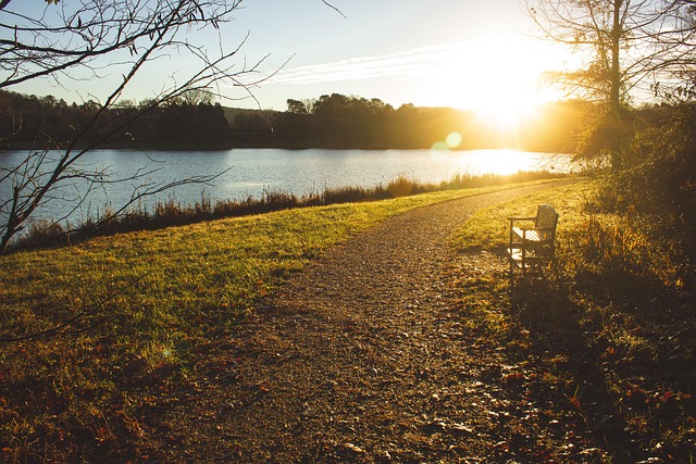 Free Bench Park photo and picture
