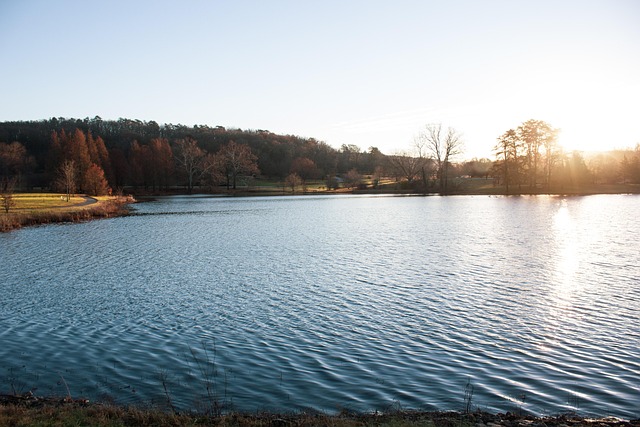 Free Water Lake photo and picture