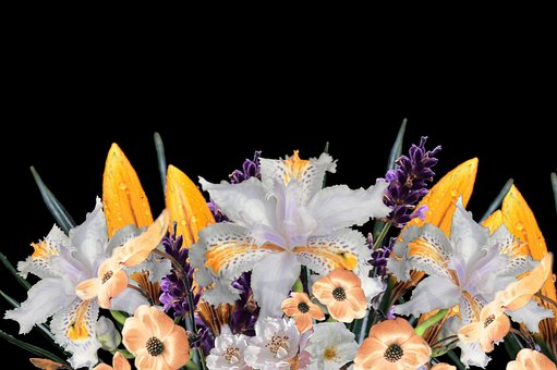Free Arrangement Bouquet photo and picture