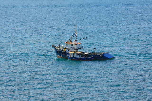Free Ocean Fishing photo and picture