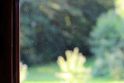 Haus, Stille, Spider Web, Spinne, Summer