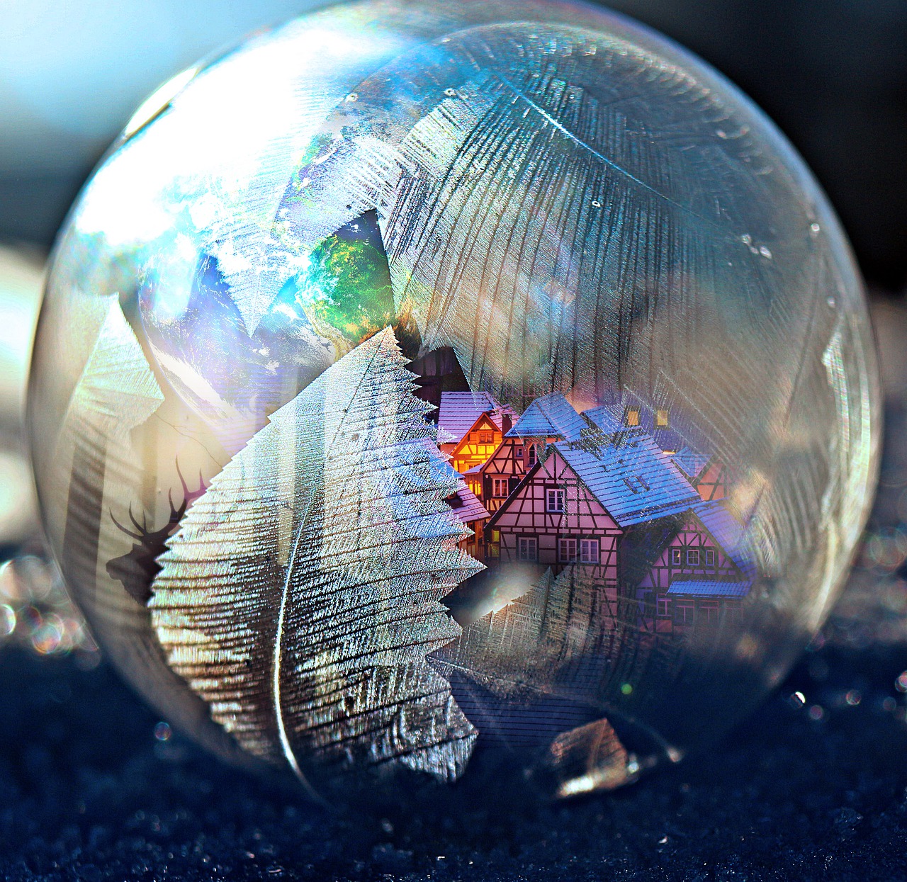 Download Bubble Life Life Earth RoyaltyFree Stock Illustration Image Pixabay