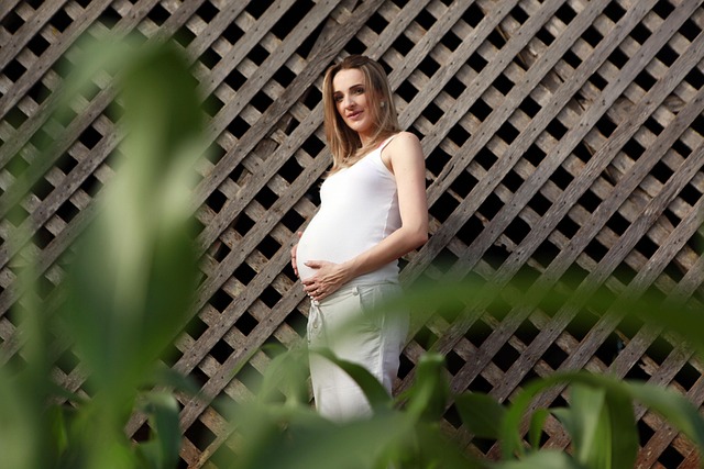 Free Pregnant Stomach photo and picture