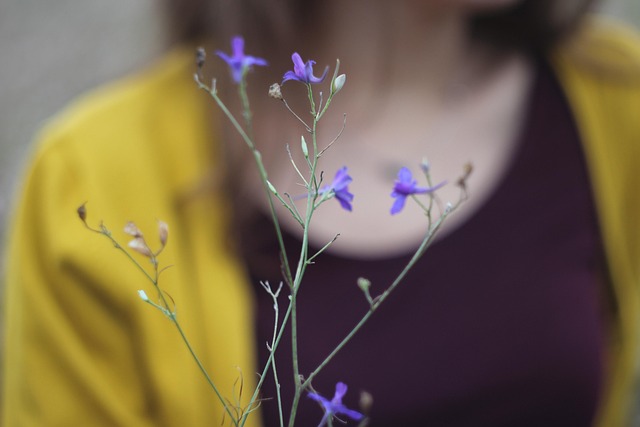Free Flowers Flower photo and picture
