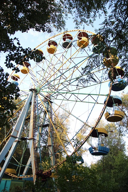 Free The Park Amusement Rides photo and picture