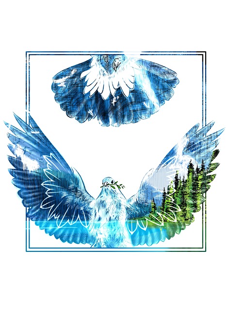 Vogel, Frieden, Taube, Freiheit